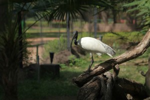 IMG 7184